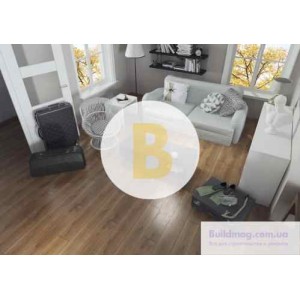 Ламинат 8 мм King Floor Premium Line